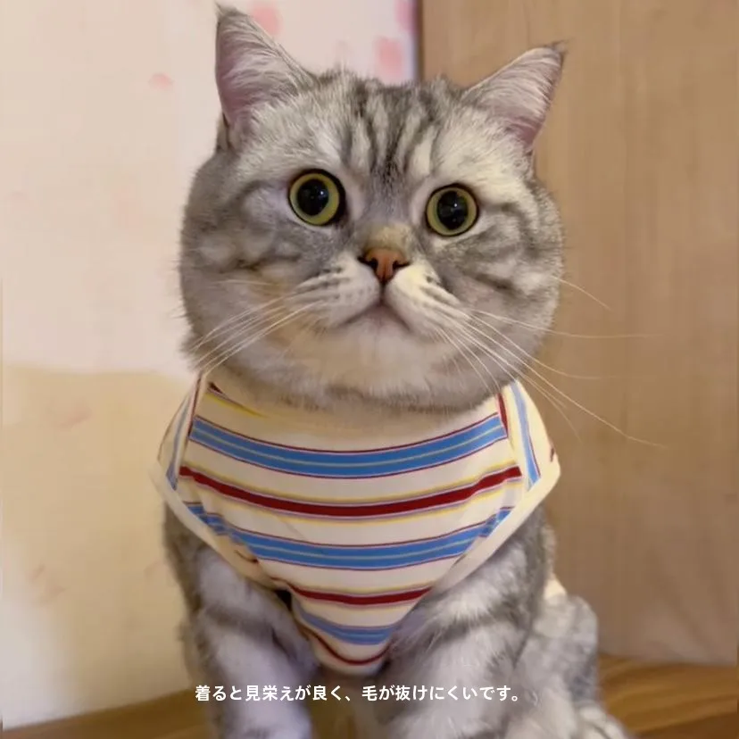 春秋用の薄手猫服：ストライプデザインで抜け毛防止と快適な着用を実現