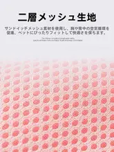 中小型犬用ハーネスとリード【ウェストスタイル・比熊対応】