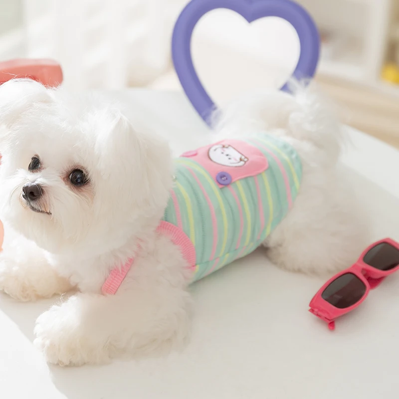 カラフルストライプの小型犬用ハーネス：春夏季向けのかわいいデザインが散歩に最適