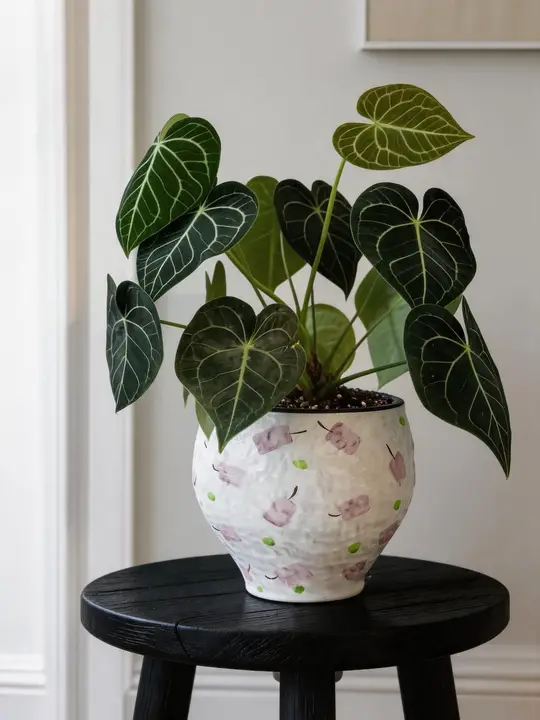 景德镇製陶器 蝶蘭の花鉢【中華風・室内用・観葉植物・復古デザイン】