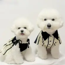 ペットウェア 犬 猫 シャツワンピース 綿100% ストライプ バイカラー 韓流 インスタ映え 上品 お揃い「HC」