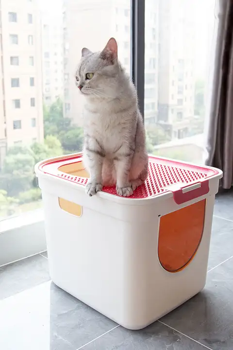 大容量猫トイレ【上から入れる・二重扉・防水設計・全閉型・消臭機能付き】