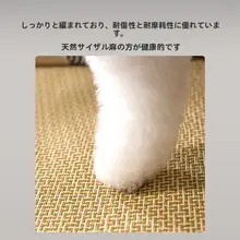 hipidog ペットベッド 犬猫用 ひんやり 涼感マット 夏用 取り外し可能 洗濯可能 オールシーズン 寝床