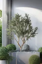 オリーブ 造木 鉢植え 北欧風 大型 組み立て式 グリーン 屋内 店舗 ショーウィンドウ インテリア