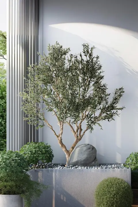 オリーブ 造木 鉢植え 北欧風 大型 組み立て式 グリーン 屋内 店舗 ショーウィンドウ インテリア