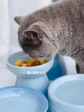 防止翻げと黒あご！高脚デザインのペット用陶器ボウル【丸口・猫・犬用】