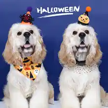 ペット用 ハロウィンパーティー コスチュームセット【バット・クモ・カボチャ帽子・レースエプロン・バンダナ・猫犬用】
