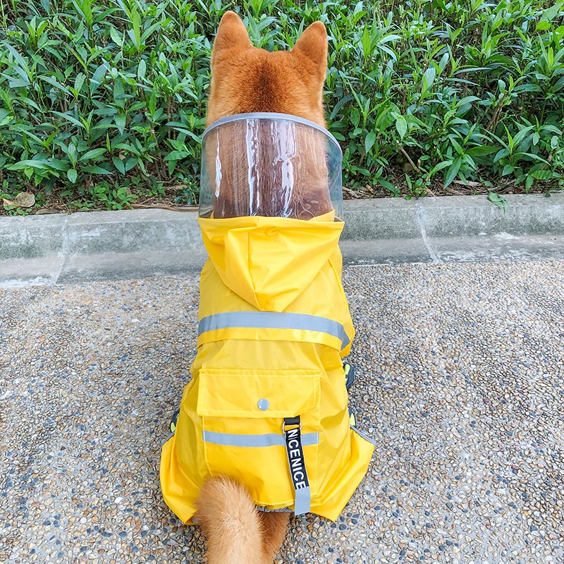 犬のお散歩グッズをコスパ良く揃える方法｜完全ガイドで安心と実用性を両立