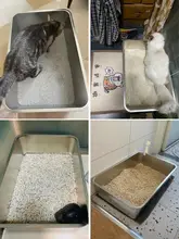 ステンレス製 猫用トイレ【特大・大型メインクーン用・50斤対応】