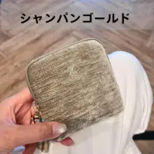 携帯便利なファスナー付きアクセサリー収納ポーチ【旅行用・内袋付き】