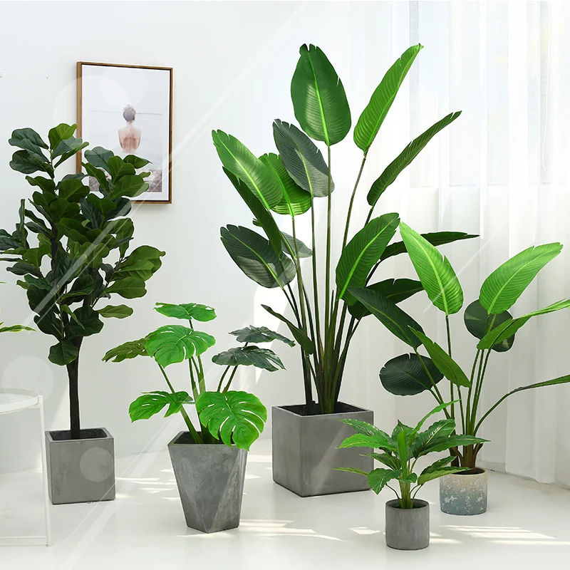 梅雨に備えて買うべき！完全ガイド：観葉植物・防静電クッション・手淹れコーヒーの3つの秘密