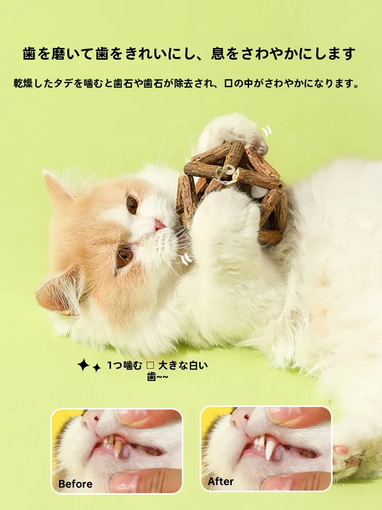 猫の遊び道具を手作りにするなら、木製のミントボールが一番？