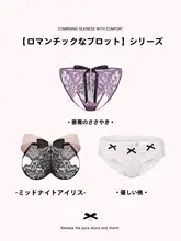魅惑のレースショーツ【ハイウエスト・セクシー・薄手】