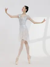 バレエダンスウェア【フリル付き・花柄・メッシュ素材・ワンピース】