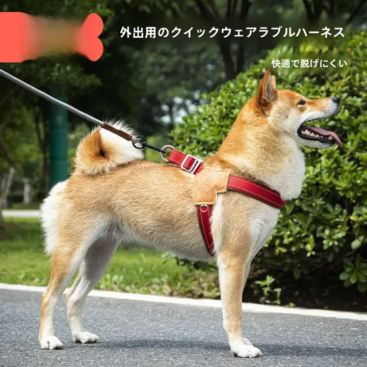 犬用ハーネス付きリード【中小型犬用・柴犬・テディベア・心地よい装着感】