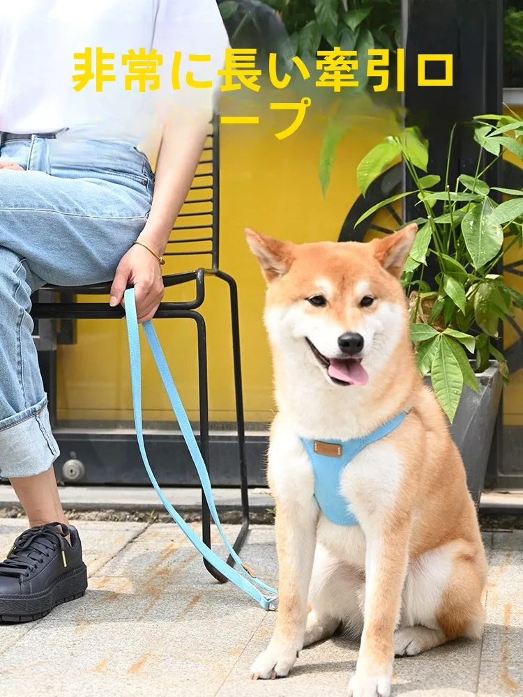 犬のお散歩グッズをコスパ良く揃える方法 - 調整可能な超ロングリードの定義と特性