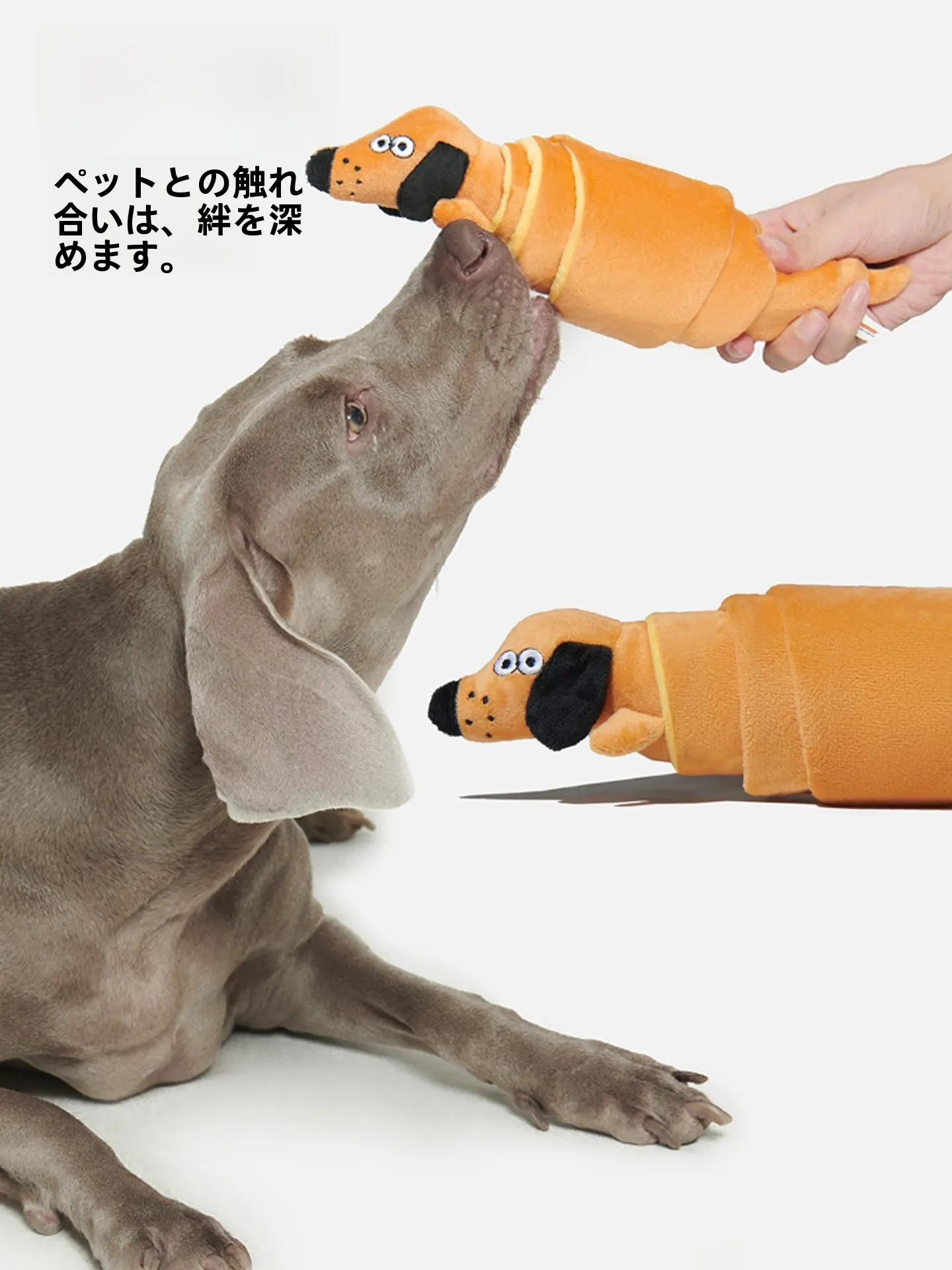 長く遊べるおもちゃって、本当に存在するの？犬との日常に響く「サクサク音」の秘密