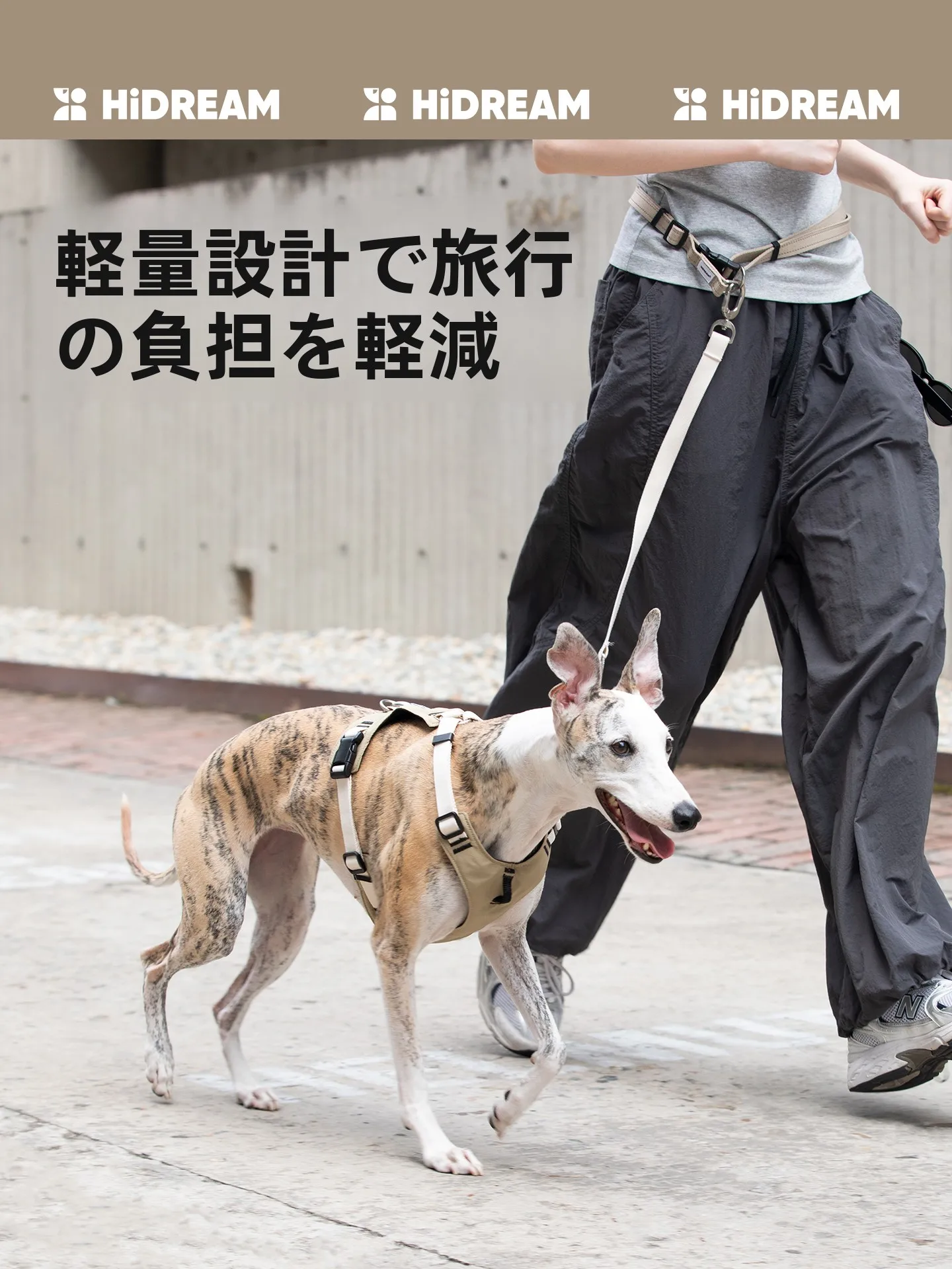 犬のお散歩グッズをコスパ良く揃える方法｜胸部サポートハーネスで散歩の質を徹底解説
