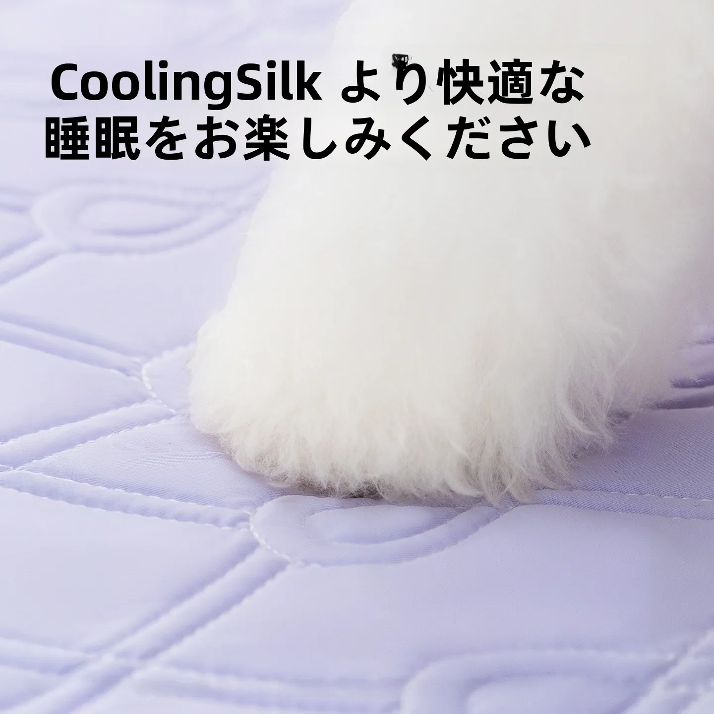 犬用オープンベッド 2505MSML2102：中小型犬向けの整形デザインとクッション性を実現