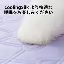犬用オープンベッド【中小型犬・クッション性・整形デザイン】