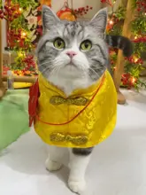猫服 ペットウェア ケープ マント チャイナテイスト 黄色 お正月 迎春 冬
