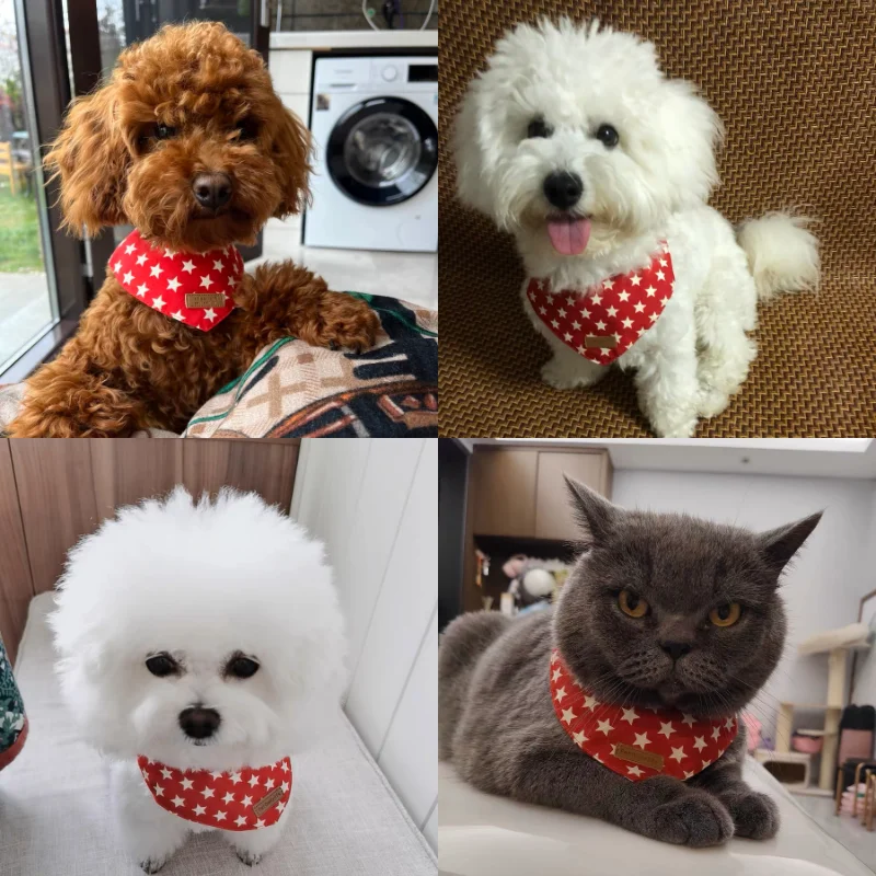猫用首掛けバンダナ【秋用・星柄・可愛いデザイン】（セットアップ対応）