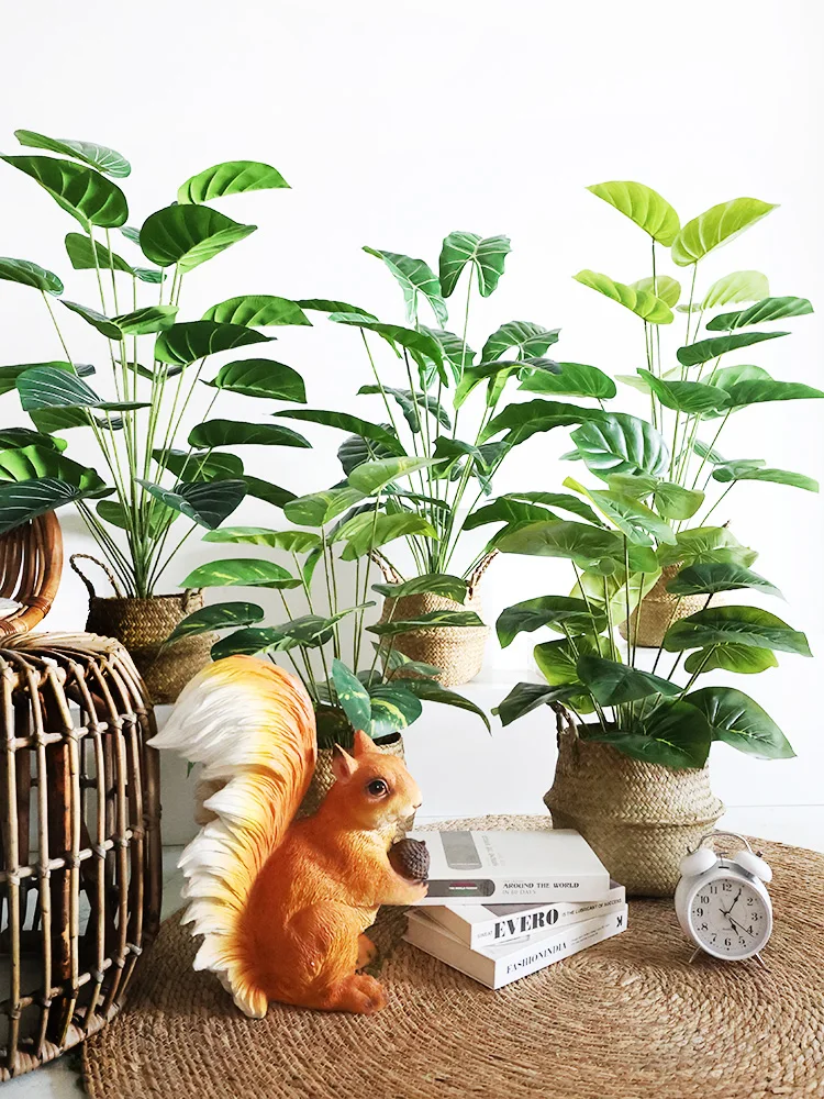 韓国カフェ風インテリアを再現するための観葉植物ツルビニ鉢植え
