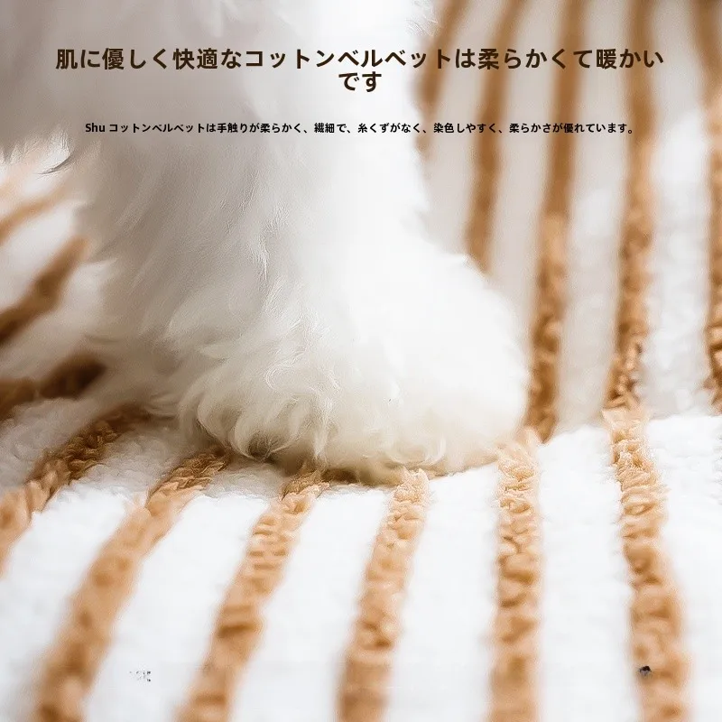 高齢犬の生活を支える、本当の「安心」はどんなベッドなのか？