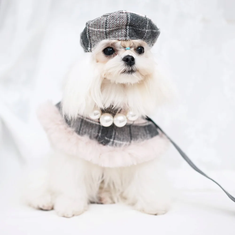 犬のカッパとは何か：ペットとしての特性と実際の使い方