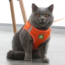 猫の脱走防止 リーシュ