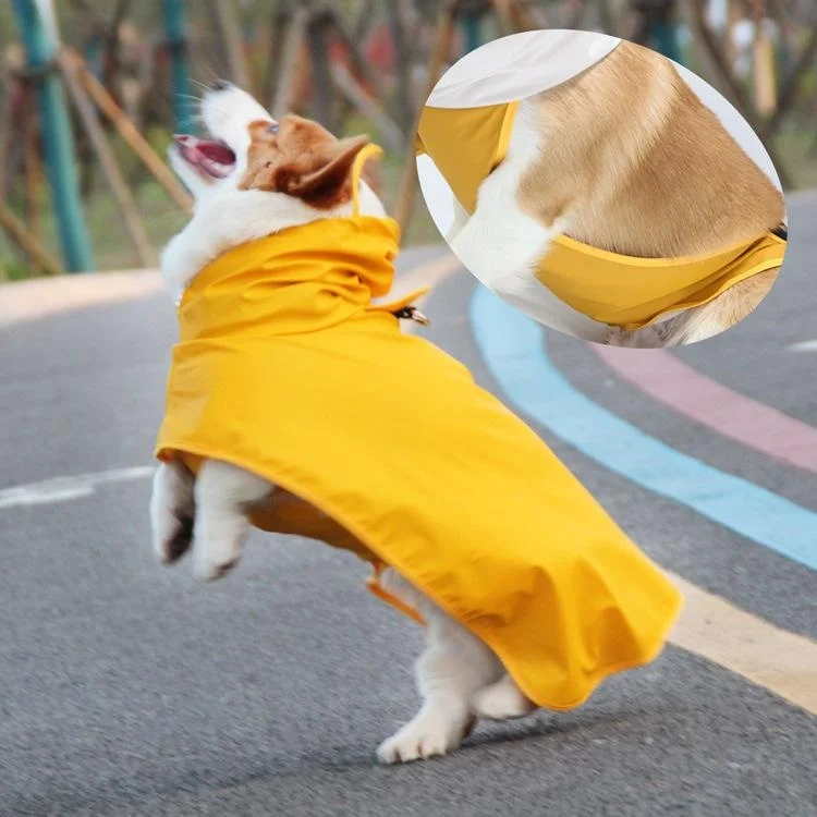 犬のお散歩グッズをコスパ良く揃える方法｜全包覆レインコートでコストパフォーマンスを徹底解説