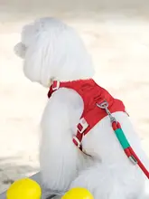 犬用ハーネス リード ベスト型 小型犬 愛犬 お散歩 ペット 「ARKIKA」