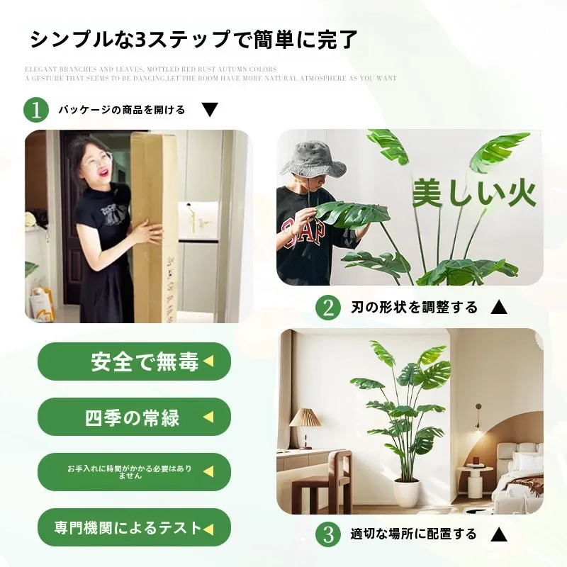 韓国インテリアを再現｜カフェ風部屋の作り方　モンステラの配置術とレイアウトガイド
