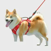 ペット用 胸背負いハーネス【中型犬・コーギー・テディ・幼犬用・爆発防止】