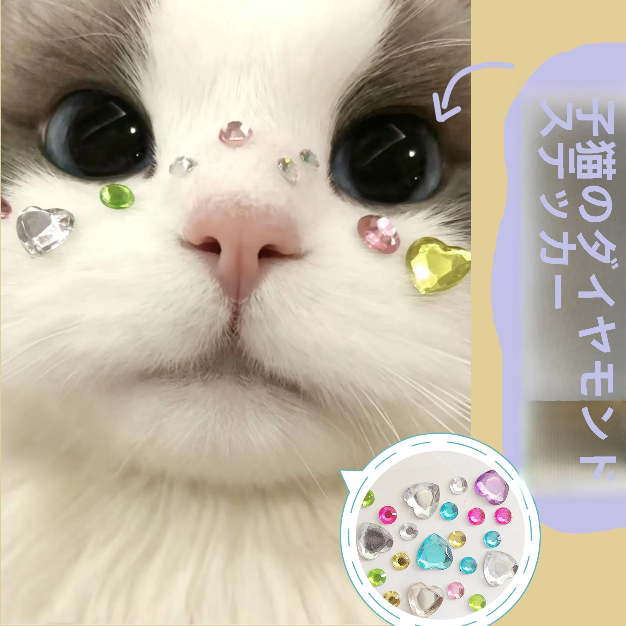 猫 モチーフ ブランド で人気のステッカー：VOAの3Dクリスタルデザインを実際の使用で検証