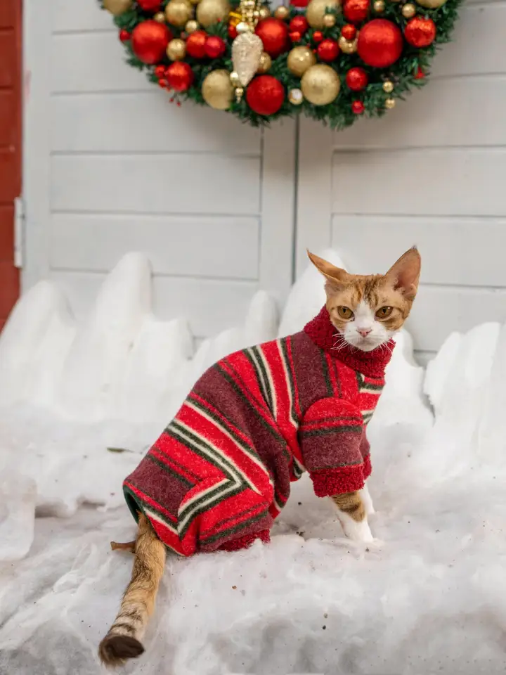 クリスマス雰囲気の4脚用デボンレックス猫用服【無毛猫・暖かい厚手パーカー】