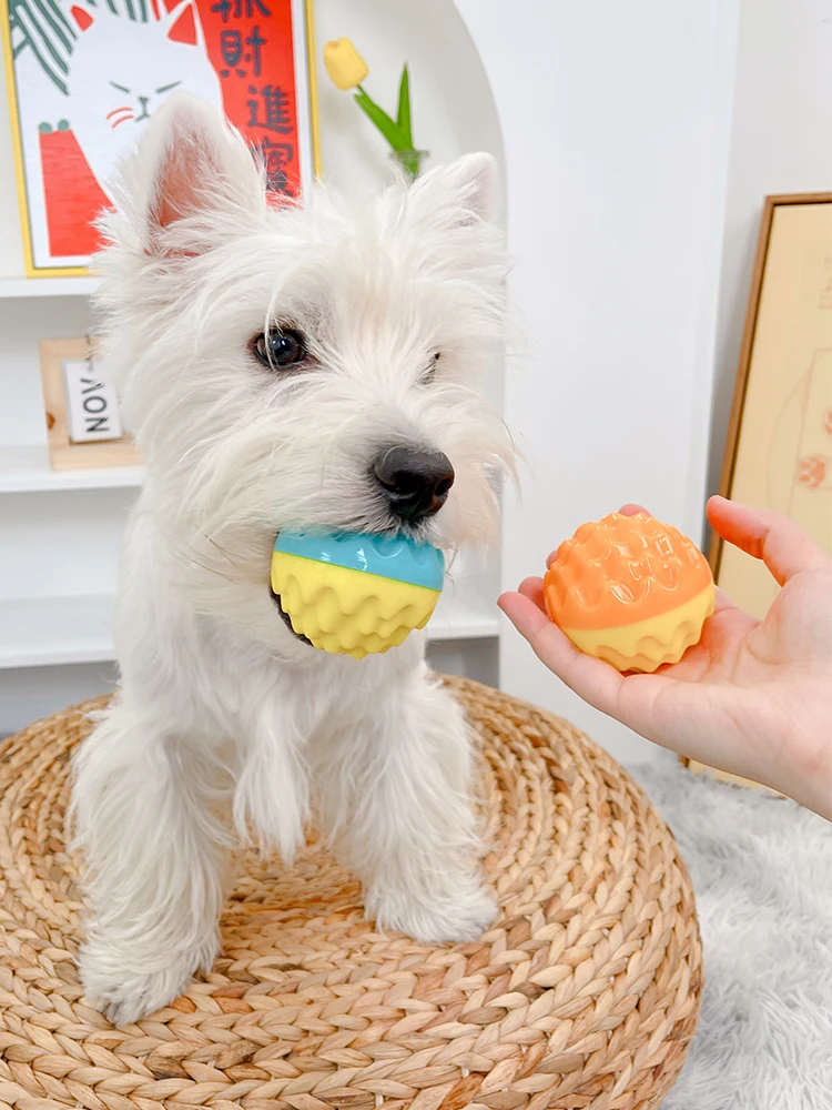 犬用フリスビーをどう選ぶ？音声機能付きの「溶岩サウンドボール」がなぜ今人気なのか