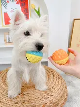犬用ボールおもちゃ【音声機能付き・噛むのに耐える・幼犬用・発散】