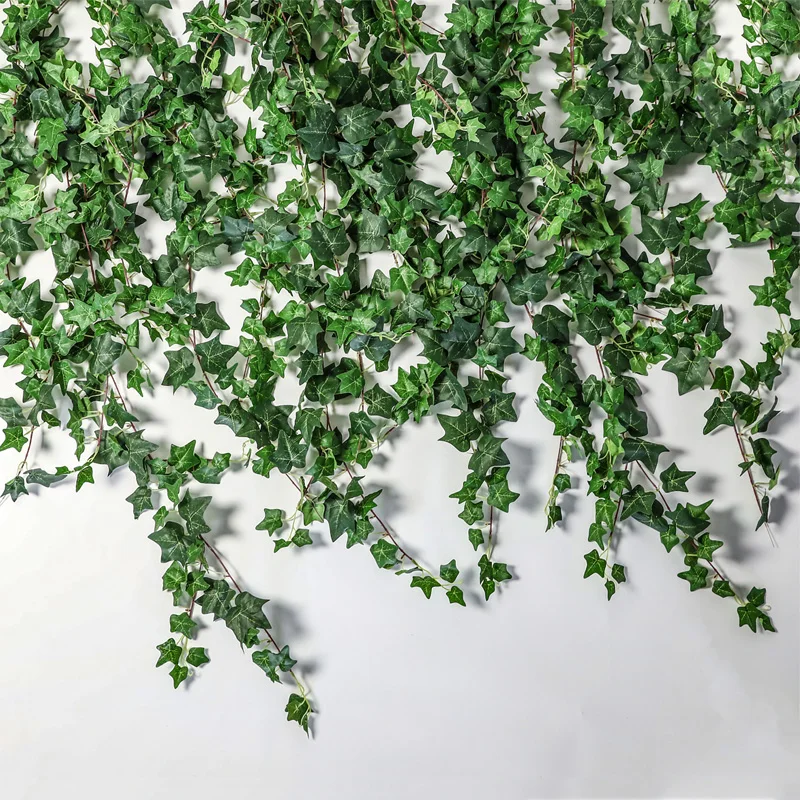 おうち時間を豊かにするおすすめアイテム｜リアル植物・収納・飲み物の完全ガイド