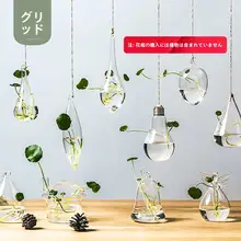 壁掛け透明水培ガラス花瓶【現代的・観葉植物用・小型】