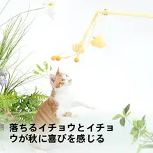 猫おもちゃ スティック型猫じゃらし【耐噛・耐爪・幼猫用】