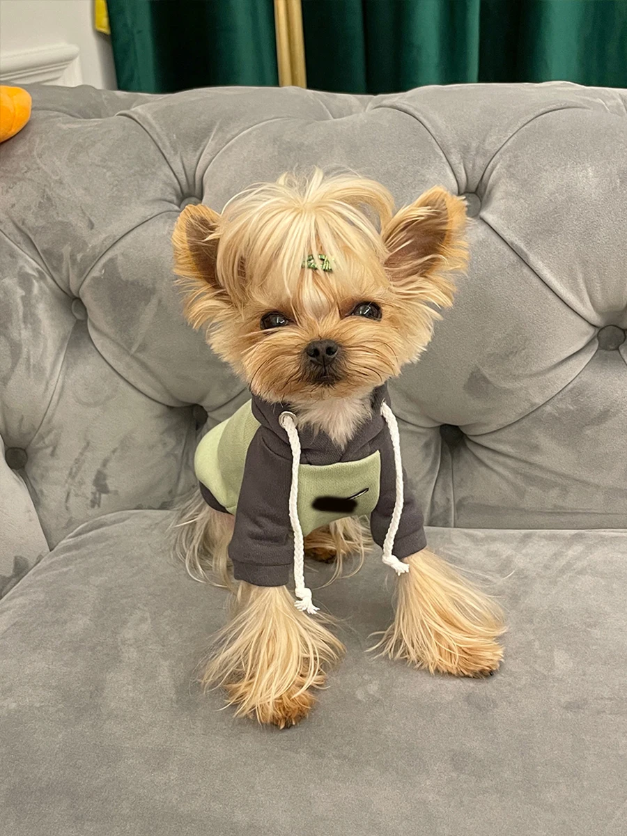 ハーネス付き犬服の選び方：小甜粥マルチーズ・ヨークシャーテリア用フード付きウェア