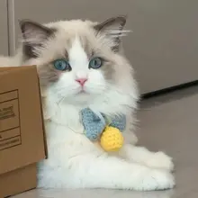 可愛いデザインの手編みペット用スカーフ【無音ベルボール付き・猫・小型犬・うさぎ用】（セットアップ対応）