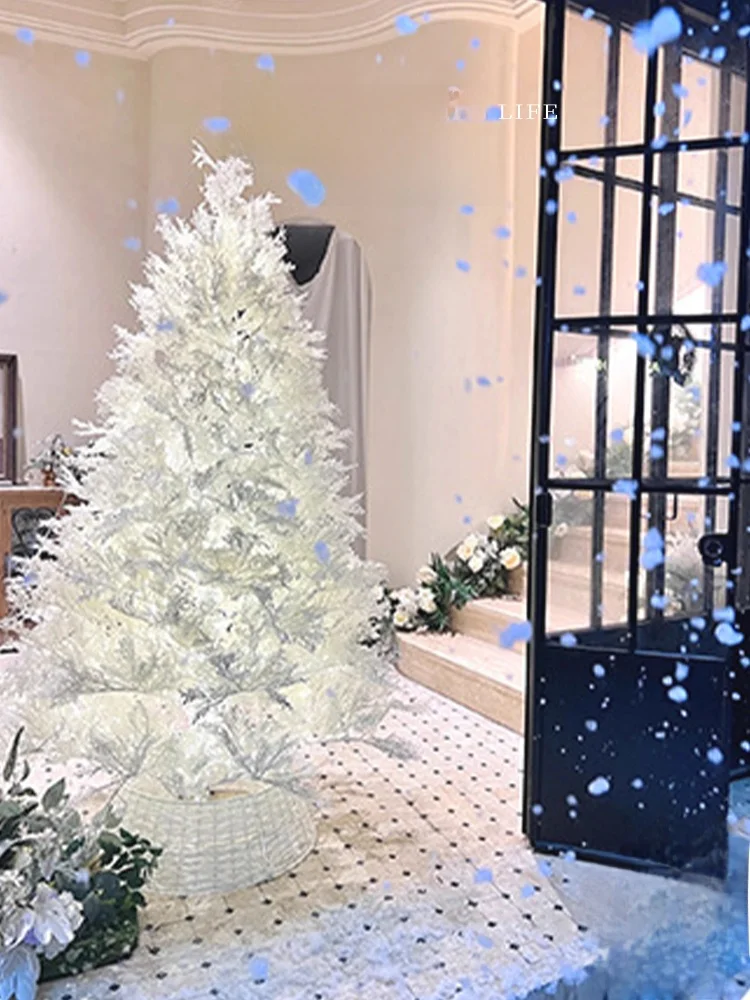 12月クリスマスに贈る「ツリー」は、伝統と現代のバランスが鍵！？