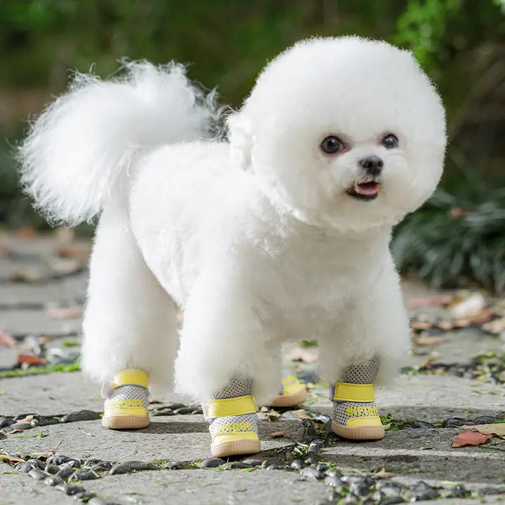 hipidog 犬用 軽量通気性サンダル【回転ボタン付き・夏用・小型犬向け】