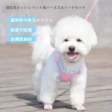 通気性のある犬用ハーネスリード【反射機能付き・コントラストデザイン】