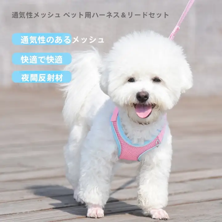 通気性のある犬用ハーネスリード【反射機能付き・コントラストデザイン】