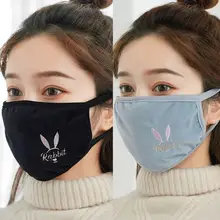 秋冬用 レディース大きめ防風マスク【保温・通気性・洗濯可能・自転車用】