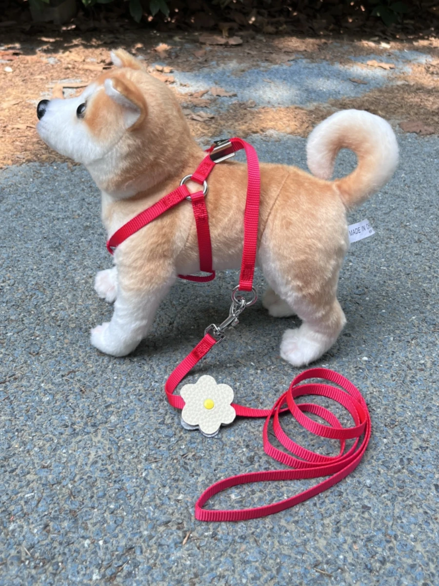 犬のお散歩グッズをコスパ良く揃える方法｜完全ガイドと選び方の秘密