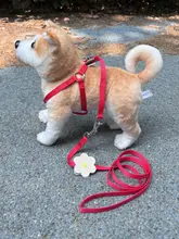 可愛いデザインの小型犬用ハーネス【散歩用・リード付き】